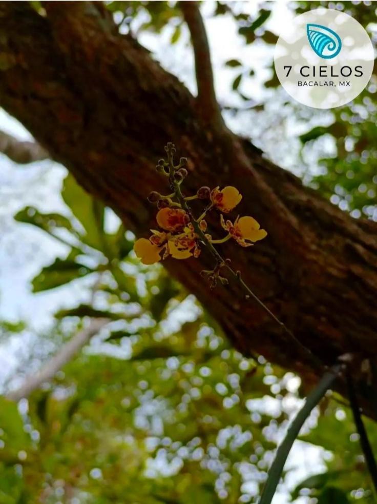7 Cielos Bacalar. Екстериор снимка